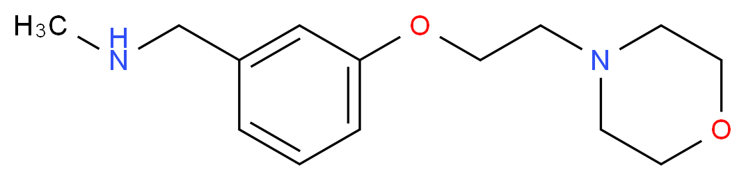 N-methyl-N-[3-(2-morpholin-4-ylethoxy)benzyl]amine_分子结构_CAS_857284-10-7)