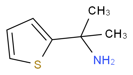 2-(thiophen-2-yl)propan-2-amine_分子结构_CAS_81289-15-8