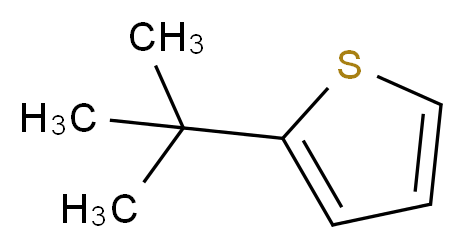 2-(tert-Butyl)thiophene_分子结构_CAS_1689-78-7)