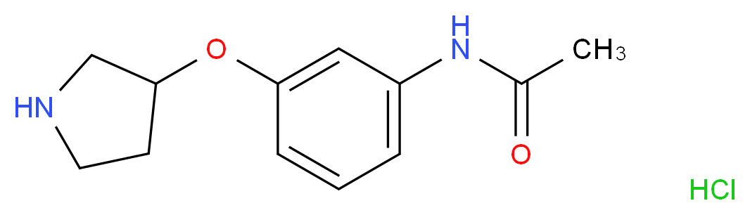 N-[3-(3-Pyrrolidinyloxy)phenyl]acetamide hydrochloride_分子结构_CAS_)
