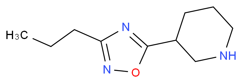 3-(3-propyl-1,2,4-oxadiazol-5-yl)piperidine_分子结构_CAS_902837-18-7