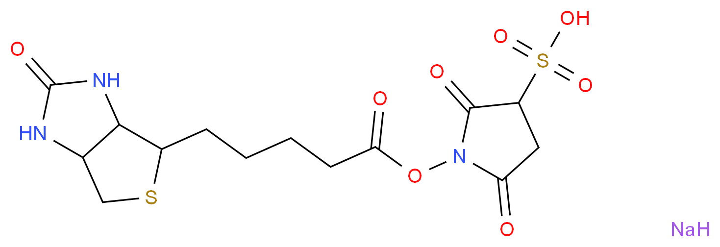 2,5-dioxo-1-[(5-{2-oxo-hexahydro-1H-thieno[3,4-d]imidazolidin-4-yl}pentanoyl)oxy]pyrrolidine-3-sulfonic acid sodium_分子结构_CAS_119616-38-5