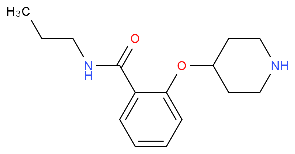 2-(piperidin-4-yloxy)-N-propylbenzamide_分子结构_CAS_902837-05-2