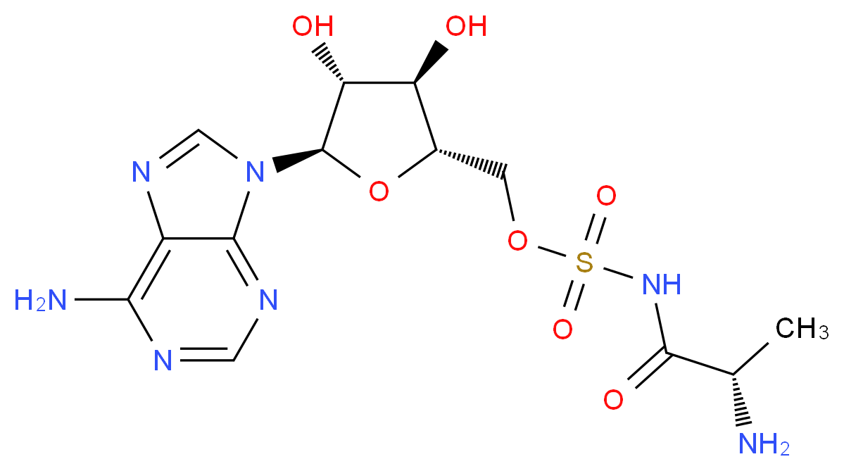 CAS_ 分子结构
