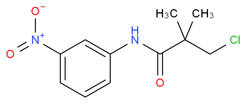 3-Chloro-2,2-dimethyl-N-(3-nitrophenyl)propanamide_分子结构_CAS_)