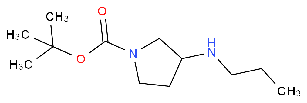 tert-butyl 3-(propylamino)pyrrolidine-1-carboxylate_分子结构_CAS_)