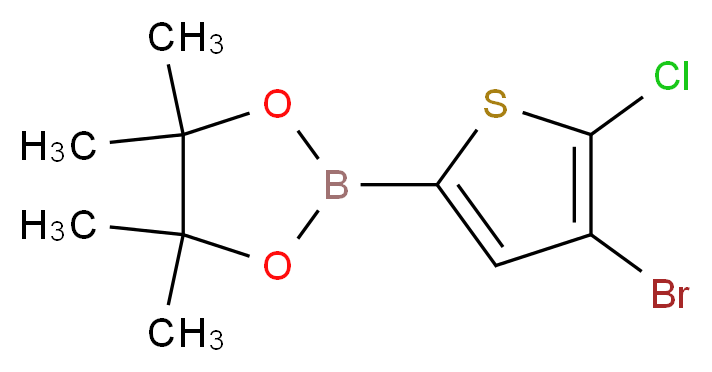 2-(4-bromo-5-chlorothiophen-2-yl)-4,4,5,5-tetramethyl-1,3,2-dioxaborolane_分子结构_CAS_942070-02-2
