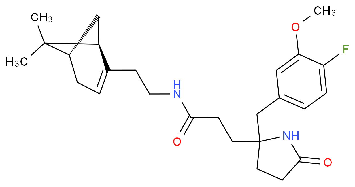  分子结构