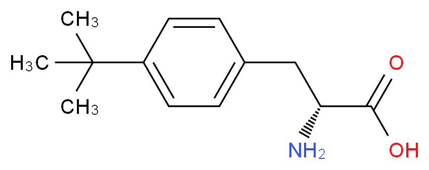 4-tert-Butyl-L-phenylalanine_分子结构_CAS_82372-74-5)