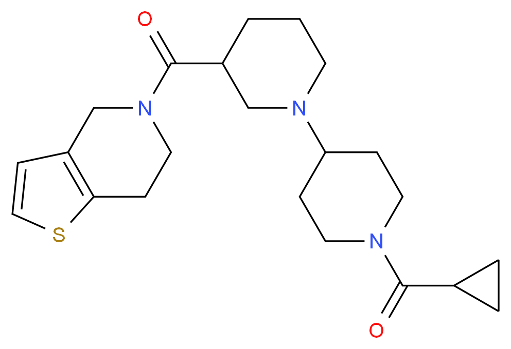  分子结构