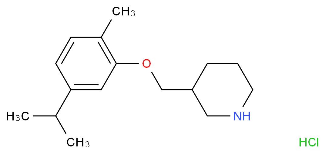 3-[(5-Isopropyl-2-methylphenoxy)methyl]piperidine hydrochloride_分子结构_CAS_)