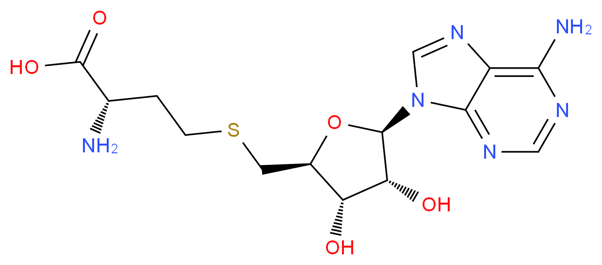 S-(5'-Adenosyl)-L-homocysteine_分子结构_CAS_979-92-0)