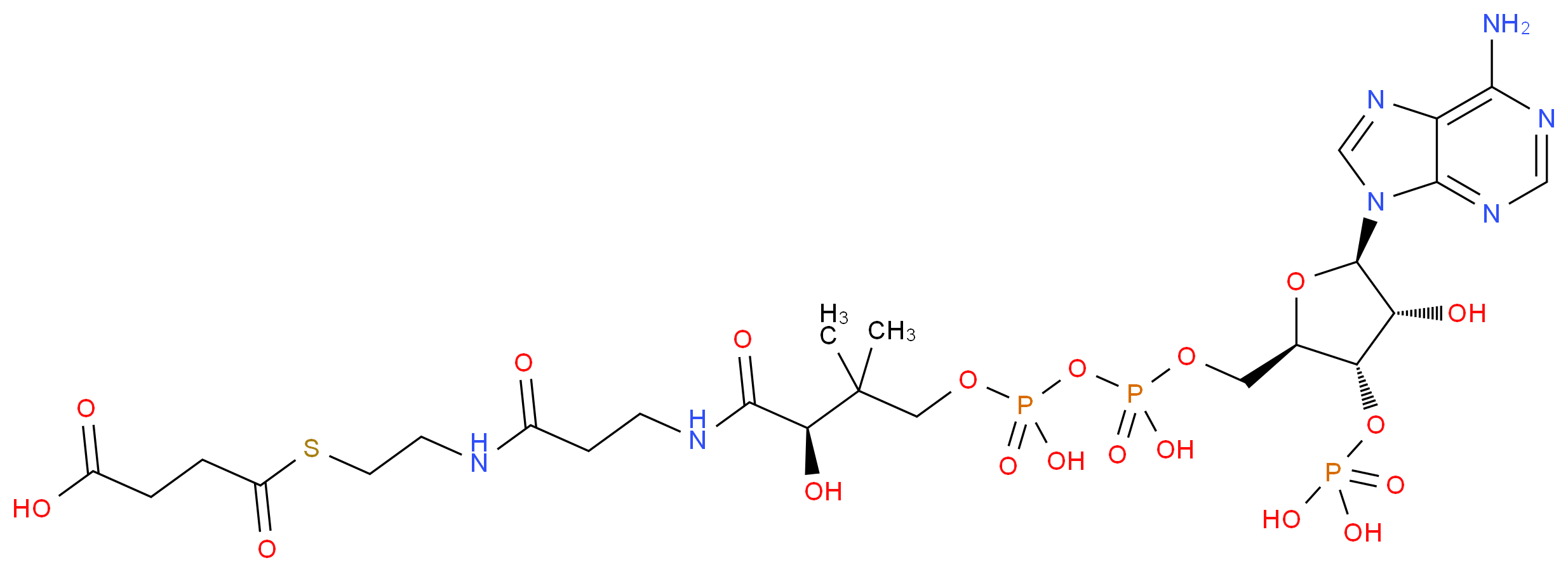 4-[(2-{3-[(2R)-3-[({[({[(2R,3S,4R,5R)-5-(6-amino-9H-purin-9-yl)-4-hydroxy-3-(phosphonooxy)oxolan-2-yl]methoxy}(hydroxy)phosphoryl)oxy](hydroxy)phosphoryl}oxy)methyl]-2-hydroxy-3-methylbutanamido]propanamido}ethyl)sulfanyl]-4-oxobutanoic acid_分子结构_CAS_604-98-8