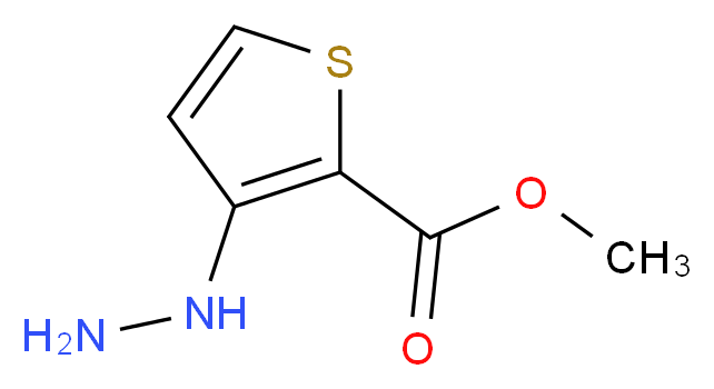 methyl 3-hydrazinylthiophene-2-carboxylate_分子结构_CAS_75681-13-9