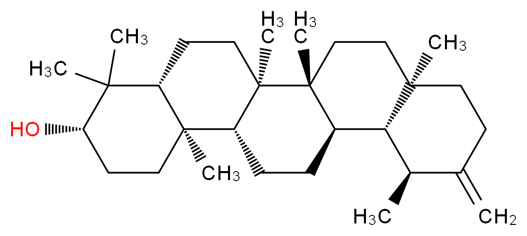 (3S,4aR,6aR,6bR,8aR,12S,12aR,12bR,14aR,14bR)-4,4,6a,6b,8a,12,14b-heptamethyl-11-methylidene-docosahydropicen-3-ol_分子结构_CAS_1059-14-9