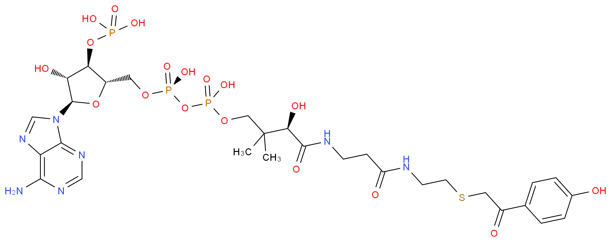 CAS_ 分子结构