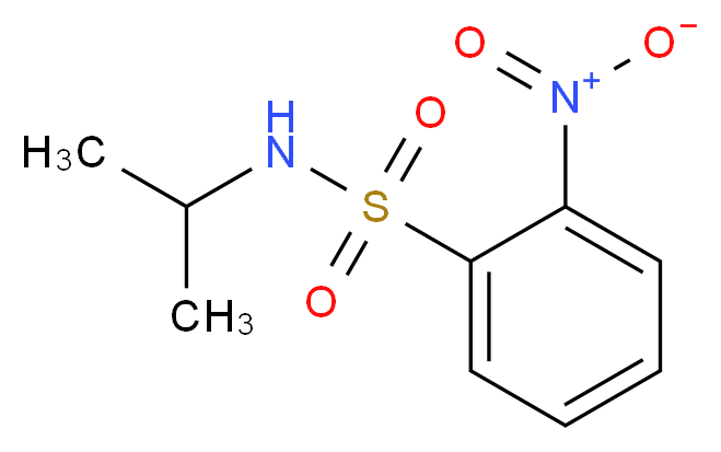 2-nitro-N-(propan-2-yl)benzene-1-sulfonamide_分子结构_CAS_23530-42-9