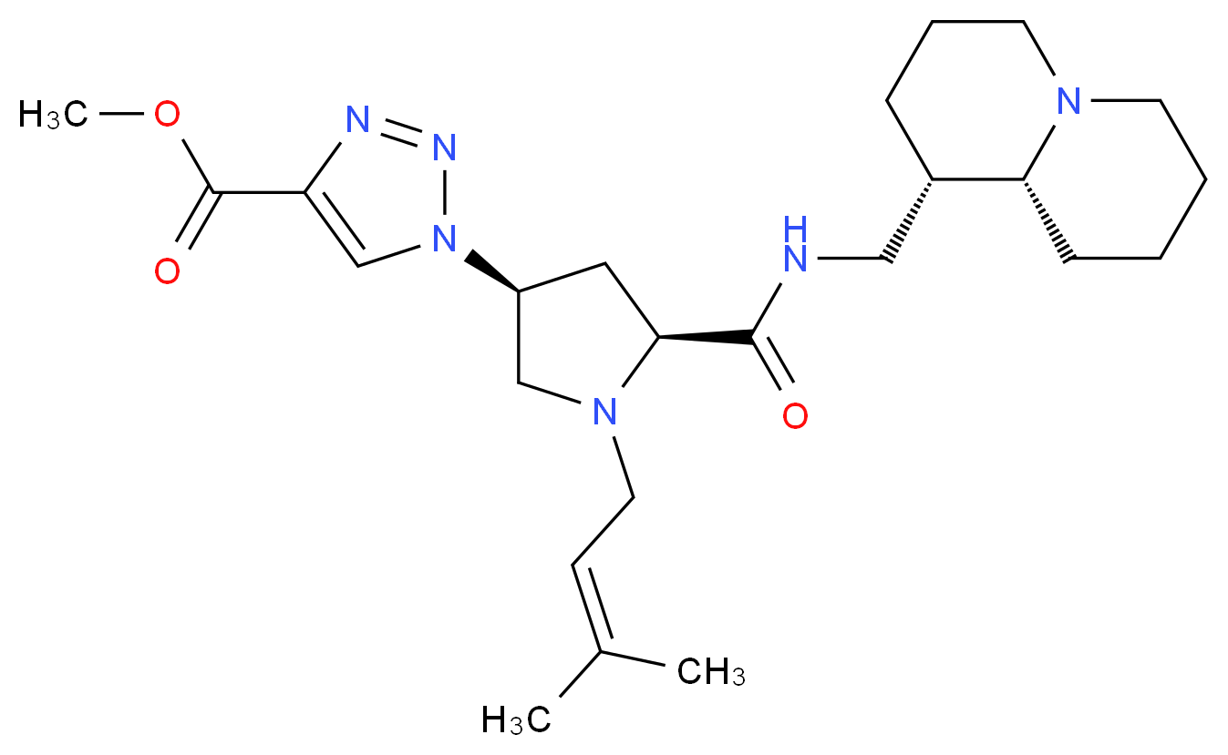  分子结构