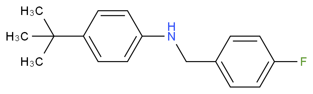 4-tert-butyl-N-[(4-fluorophenyl)methyl]aniline_分子结构_CAS_1041549-32-9