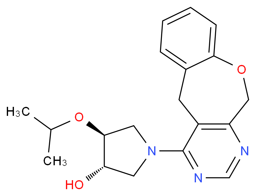  分子结构