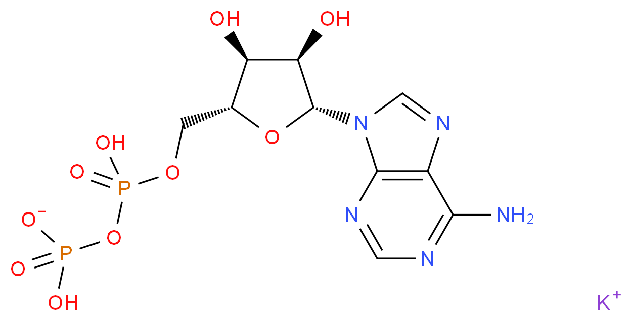 Adenosine 5′-diphosphate 单钾盐 二水合物_分子结构_CAS_72696-48-1)