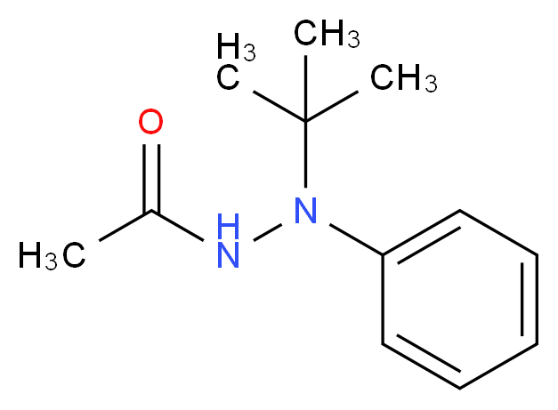 N'-tert-Butyl-N'-phenylacetohydrazide_分子结构_CAS_885669-12-5)