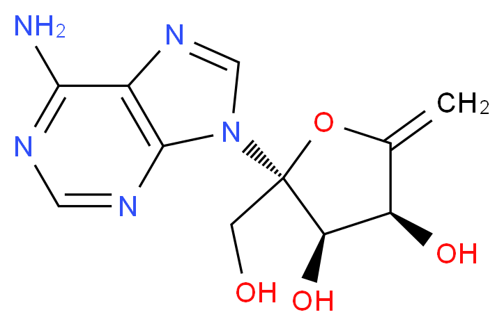 (2R,3R,4S)-2-(6-amino-9H-purin-9-yl)-2-(hydroxymethyl)-5-methylideneoxolane-3,4-diol_分子结构_CAS_2004-04-8