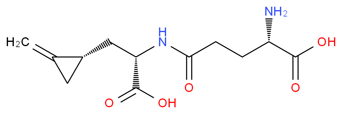 (2S)-2-amino-4-{[(1S)-1-carboxy-2-[(1S)-2-methylidenecyclopropyl]ethyl]carbamoyl}butanoic acid_分子结构_CAS_502-37-4