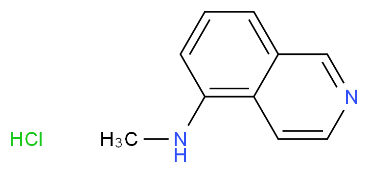 N-methylisoquinolin-5-amine hydrochloride_分子结构_CAS_1001906-56-4