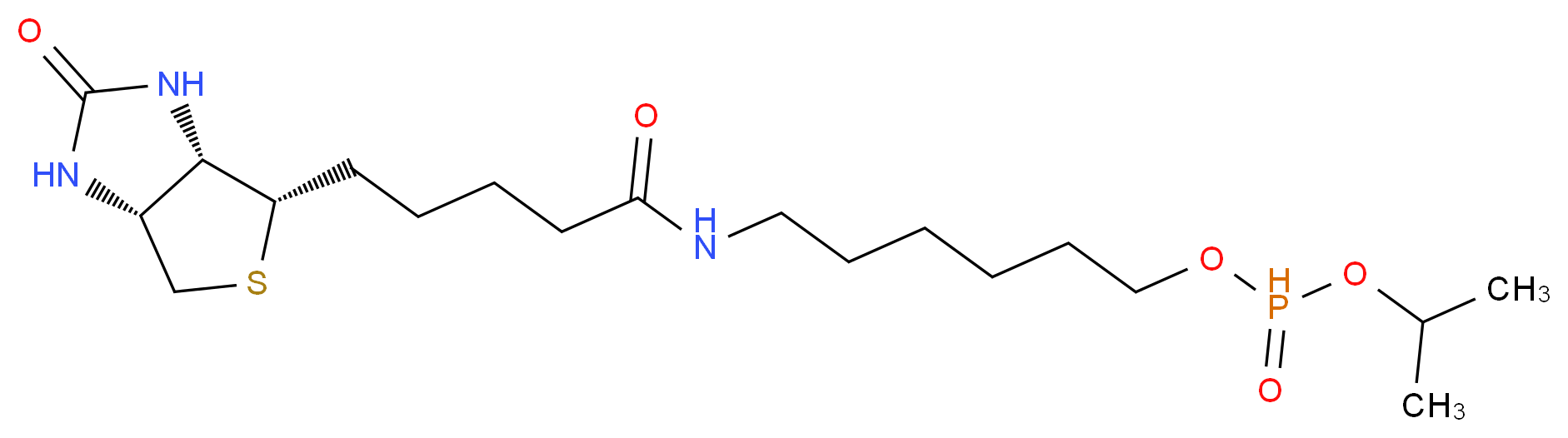 6-{5-[(3aS,4S,6aR)-2-oxo-hexahydro-1H-thieno[3,4-d]imidazolidin-4-yl]pentanamido}hexyl propan-2-yl phosphonate_分子结构_CAS_224583-37-3