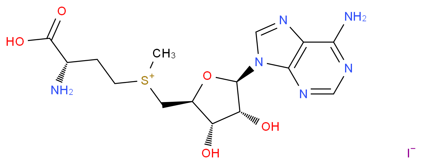 S-(5′-Adenosyl)-L-methionine iodide_分子结构_CAS_3493-13-8)