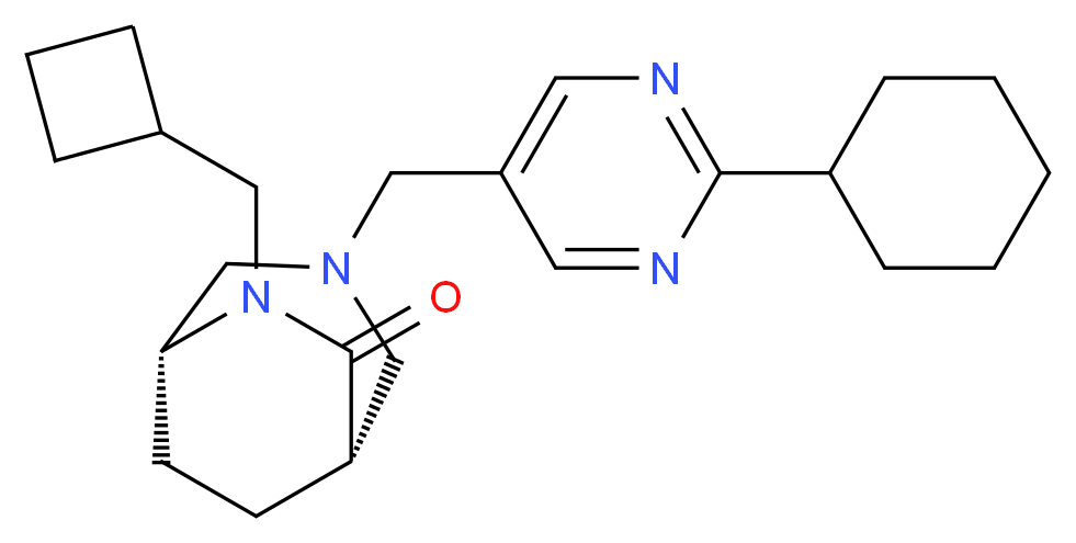  分子结构
