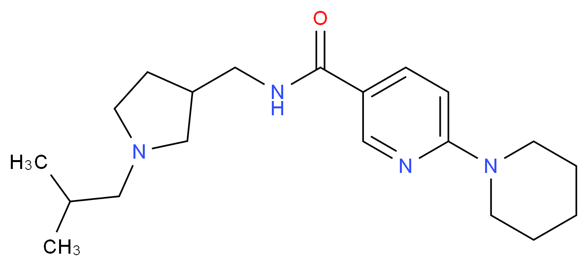  分子结构