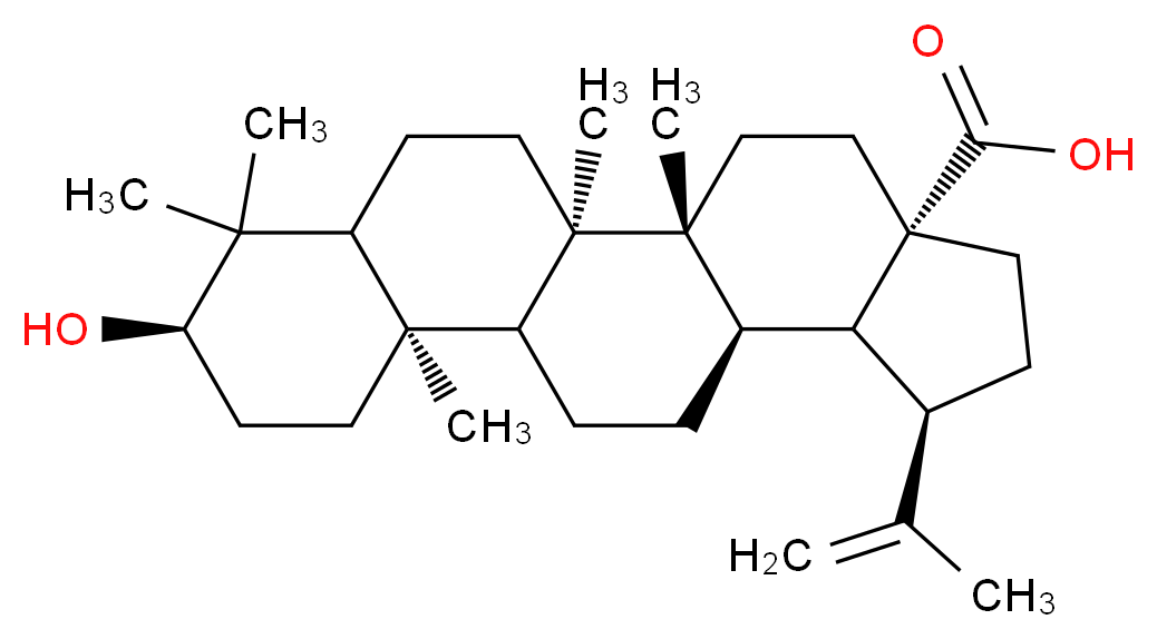 164260745 分子结构