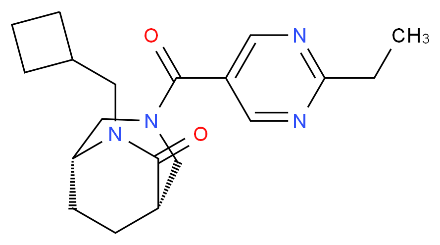  分子结构