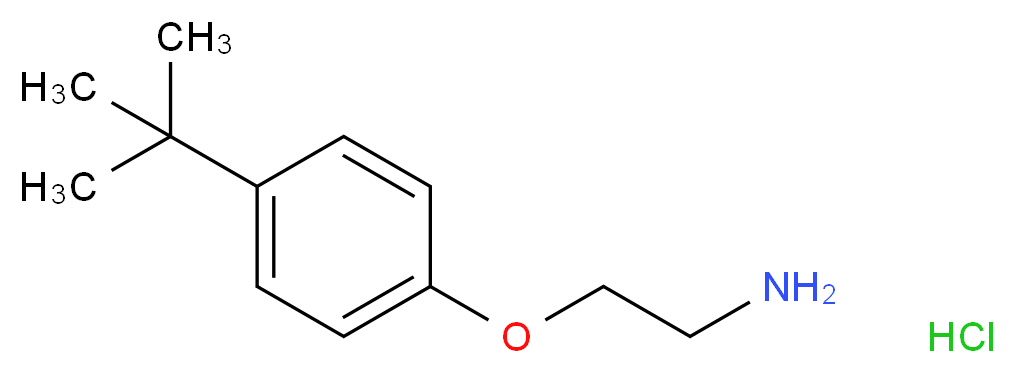 1-(2-aminoethoxy)-4-tert-butylbenzene hydrochloride_分子结构_CAS_50634-73-6