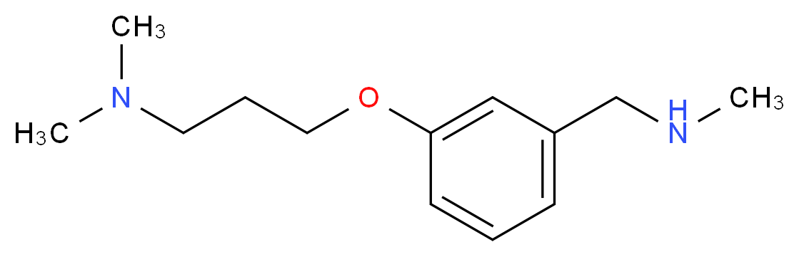 3-[3-(dimethylamino)propoxy]-N-methylbenzylamine_分子结构_CAS_910037-03-5)
