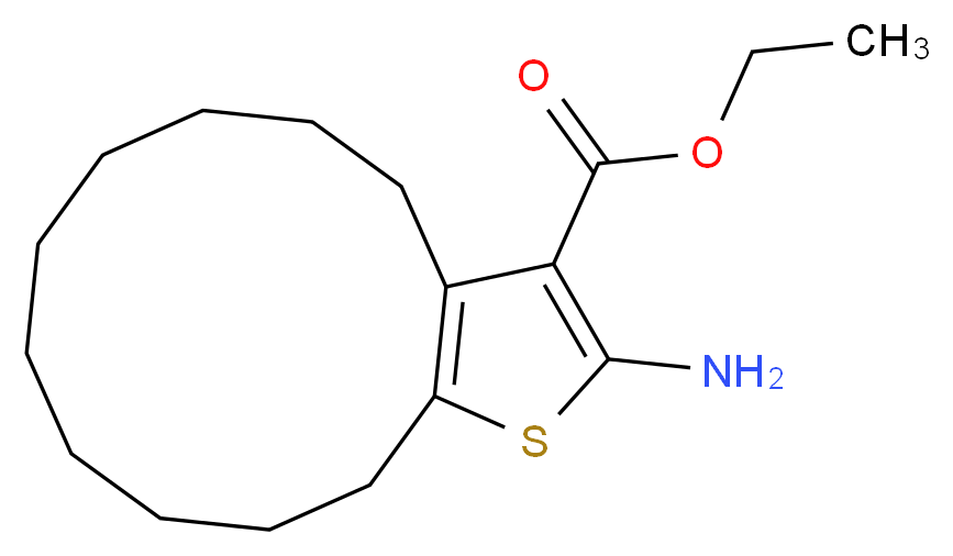 CAS_ 分子结构