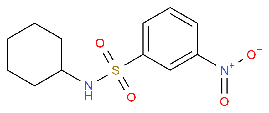 N-cyclohexyl-3-nitrobenzene-1-sulfonamide_分子结构_CAS_93125-79-2