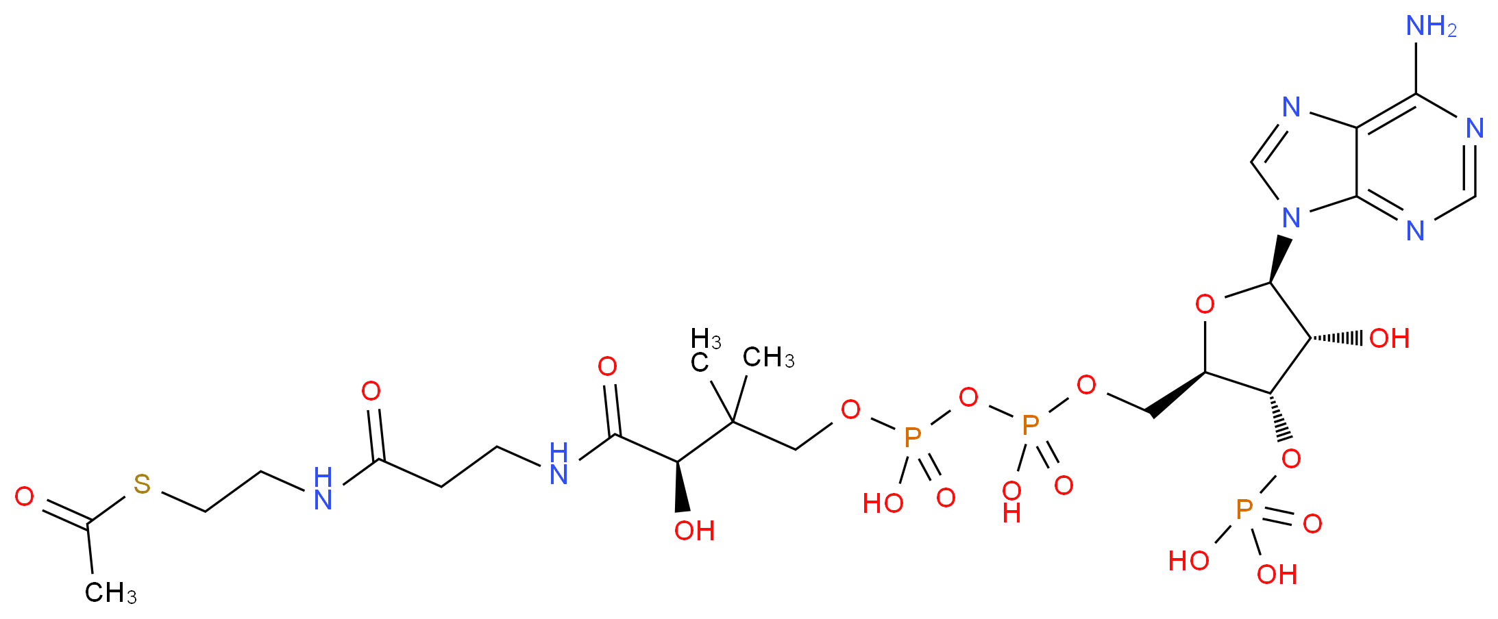 {[(2R,3S,4R,5R)-2-({[({[(3R)-3-[(2-{[2-(acetylsulfanyl)ethyl]carbamoyl}ethyl)carbamoyl]-3-hydroxy-2,2-dimethylpropoxy](hydroxy)phosphoryl}oxy)(hydroxy)phosphoryl]oxy}methyl)-5-(6-amino-9H-purin-9-yl)-4-hydroxyoxolan-3-yl]oxy}phosphonic acid_分子结构_CAS_72-89-9