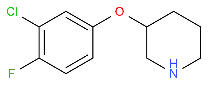 3-(3-Chloro-4-fluorophenoxy)piperidine_分子结构_CAS_946759-15-5)