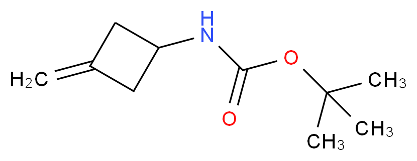 (3-Methylenecyclobutyl)carbamic acid tert-butyl ester_分子结构_CAS_130369-04-9)