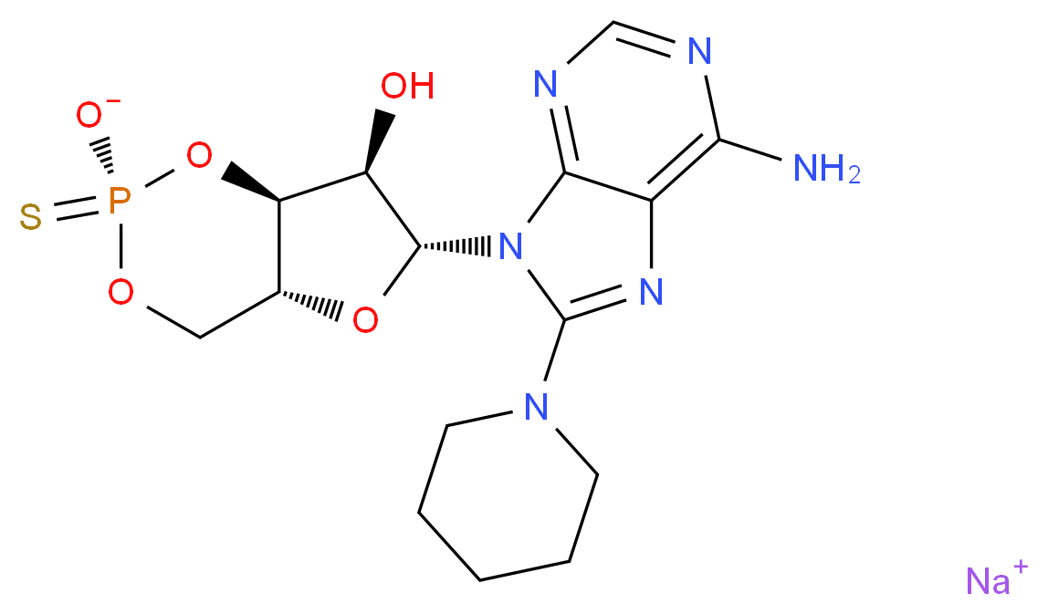 CAS_ 分子结构