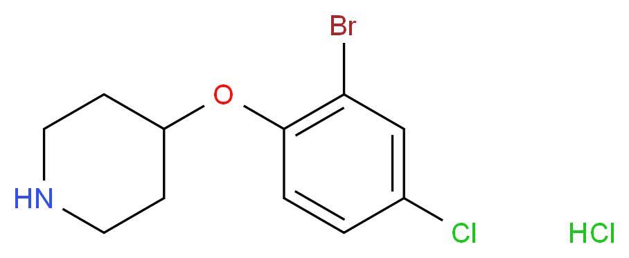 4-(2-Bromo-4-chlorophenoxy)piperidine hydrochloride_分子结构_CAS_)