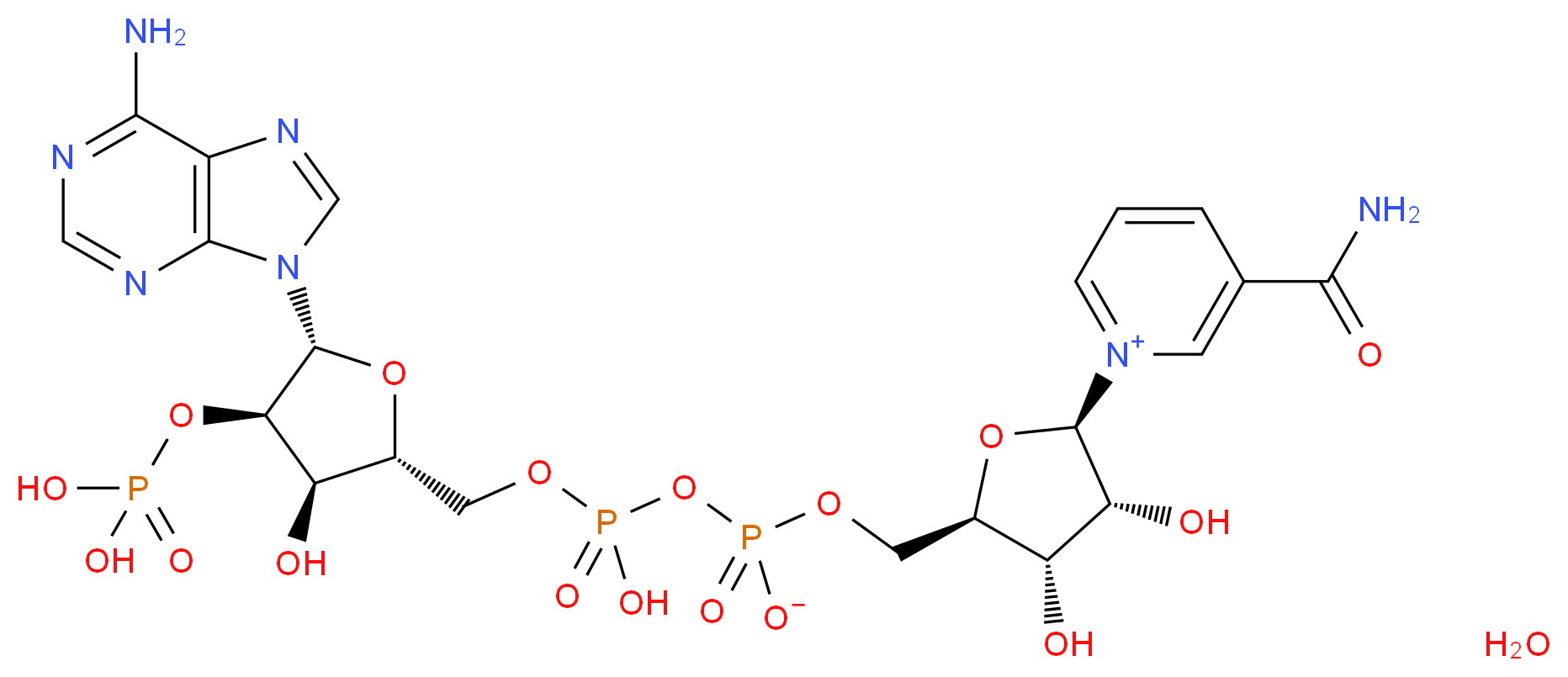 CAS_53-59-8(anhydrous) molecular structure