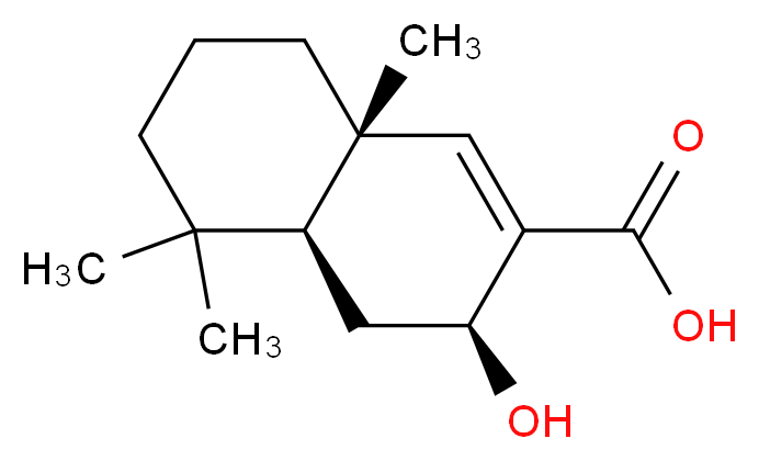 CAS_ 分子结构