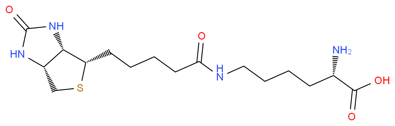 (2S)-6-{5-[(3aS,4S,6aR)-2-oxo-hexahydro-1H-thieno[3,4-d]imidazolidin-4-yl]pentanamido}-2-aminohexanoic acid_分子结构_CAS_576-19-2