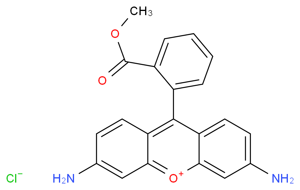 Rhodamine 123_分子结构_CAS_62669-70-9)