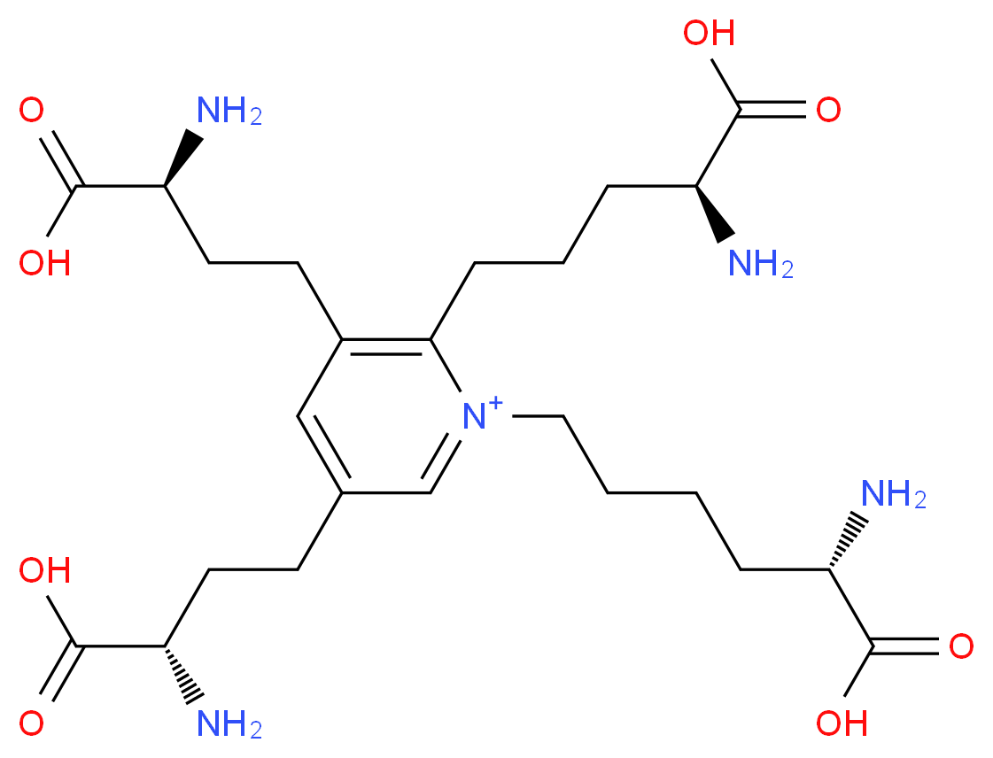 3,5-bis[(3S)-3-amino-3-carboxypropyl]-2-[(4S)-4-amino-4-carboxybutyl]-1-[(5S)-5-amino-5-carboxypentyl]pyridin-1-ium_分子结构_CAS_991-01-5