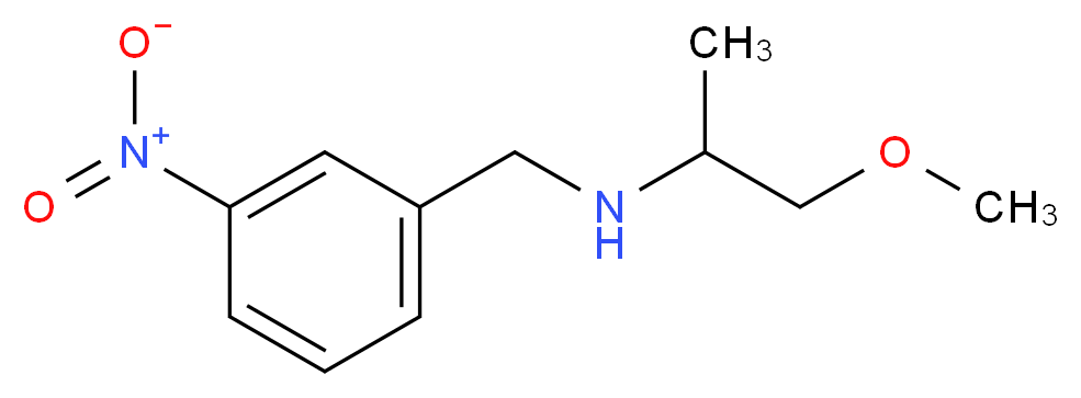 (2-methoxy-1-methylethyl)(3-nitrobenzyl)amine_分子结构_CAS_355382-82-0)